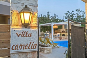 Villa Camellia Crete